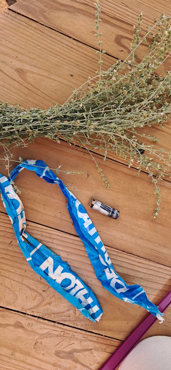 Bona collita en la passejada per la Solana, el Mas de Adelantado i el Chorrador.