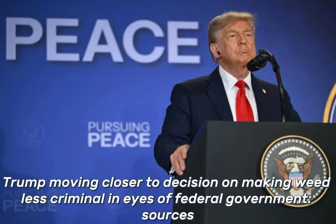 JUST IN:📮

Trump moving closer to decision on making weed less criminal in eyes of federal government: sources!!!!
#news #creatorsearchinsights #usa🇺🇸 #president #today