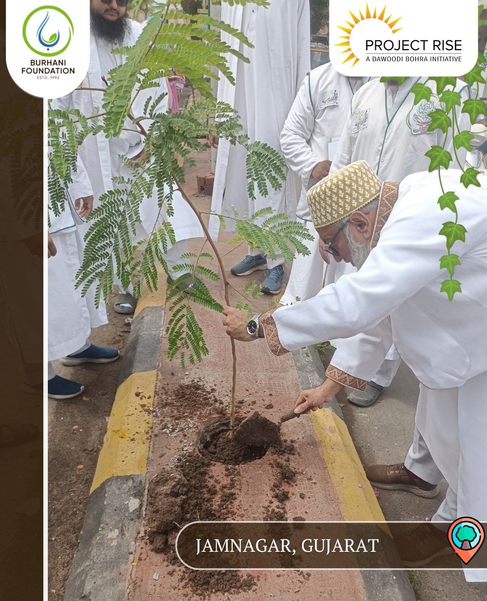 BFI_environment's tweet photo. Carrying the momentum forward, our tree plantation drive is spreading roots across India, turning small saplings into symbols of lasting change.
In partnership with @projectrisedb , this green mission continues to grow.
#PanIndiaTreePlanting #PlantTheFuture #RootsOfJoy https://t.co/Ogc2SssGUu