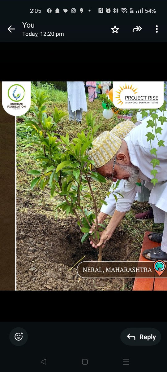 BFI_environment's tweet photo. Carrying the momentum forward, our tree plantation drive is spreading roots across India, turning small saplings into symbols of lasting change.
In partnership with @projectrisedb , this green mission continues to grow.
#PanIndiaTreePlanting #PlantTheFuture #RootsOfJoy https://t.co/Ogc2SssGUu