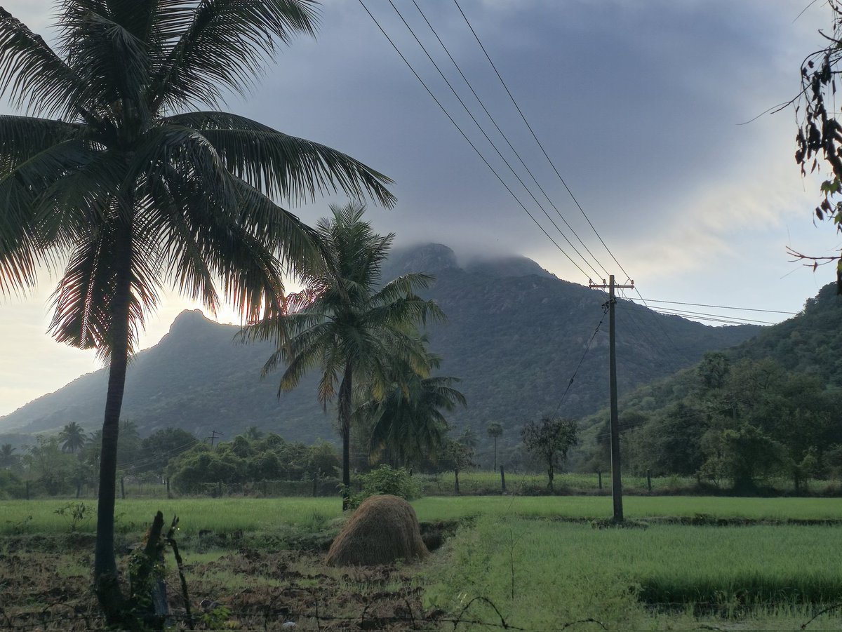 Masculine Intentions | Sculpt Your Body tweet media