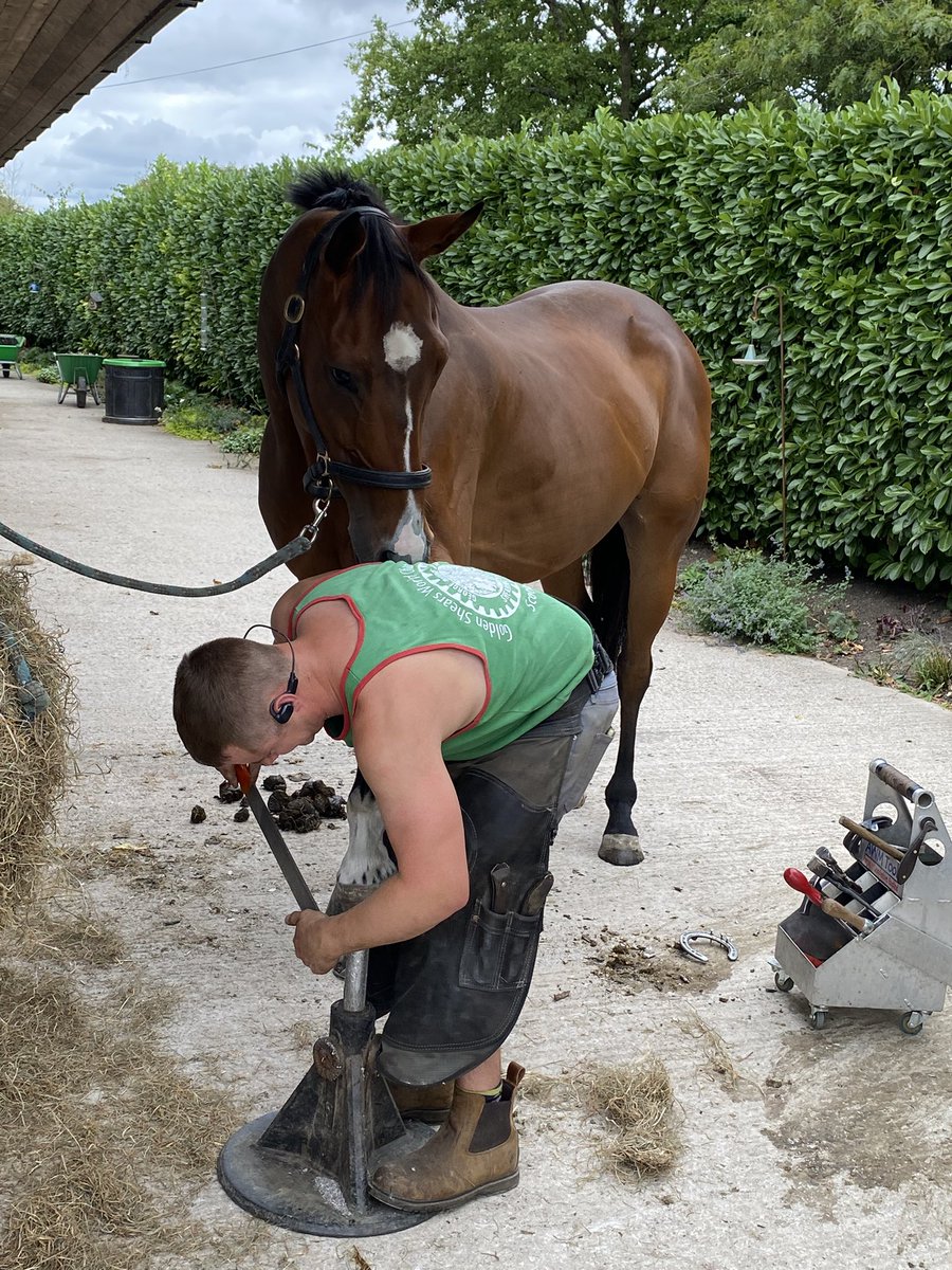 Shoes going on, so <a href="/GBpointing/">GBpointing</a> season getting closer!