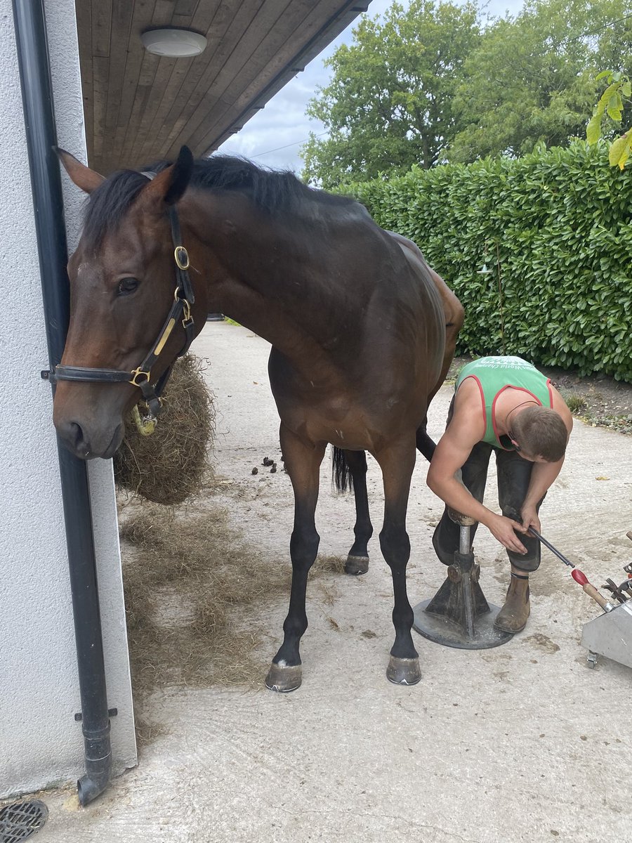 Barrow Street Racing Club tweet media