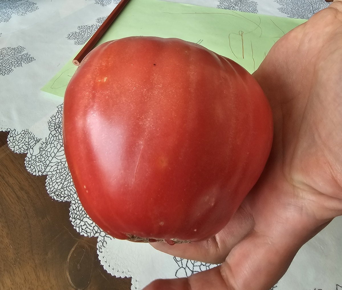 Оф оф.. домашно си е домашно.