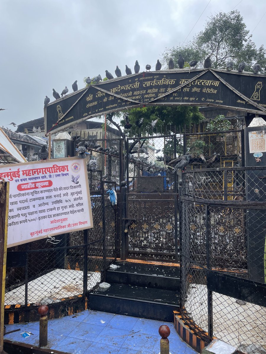 Nandini Ramnath (@nandiniramnath) on Twitter photo <a href="/mybmc/">माझी Mumbai, आपली BMC</a>'s jahir suchana is strictly for the birds at this Kabutarkhana in Kapad Bazar, Mahim <a href="/mybmcWardGN/">WARD GN BMC</a> <a href="/mybmc/">माझी Mumbai, आपली BMC</a>'s jahir suchana is strictly for the birds at this Kabutarkhana in Kapad Bazar, Mahim <a href="/mybmcWardGN/">WARD GN BMC</a>