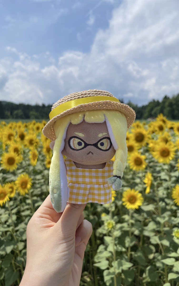 GYO_OYC's tweet photo. 🌻🌻🌻 https://t.co/3vuPmSjxJA