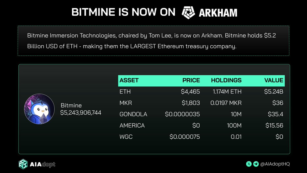 Bitmine holdings screenshot from Arkham showing ETH and meme coin assets