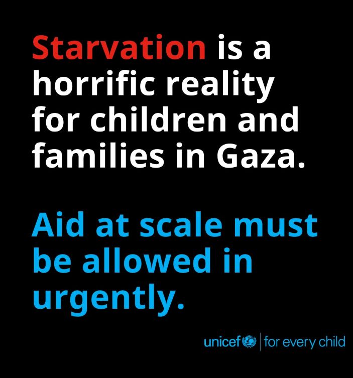 LakauMusa's tweet photo. Hunger is widespread in Gaza and people's are dying.
Deadly malnutrition in children's is reaching catastrophic levels.
Food is dangerously scarce and clean water is below emergency level
Aid is severely restricted and dangerous to access ,this is man made disaster enough is enog https://t.co/tqWiQLb1zJ