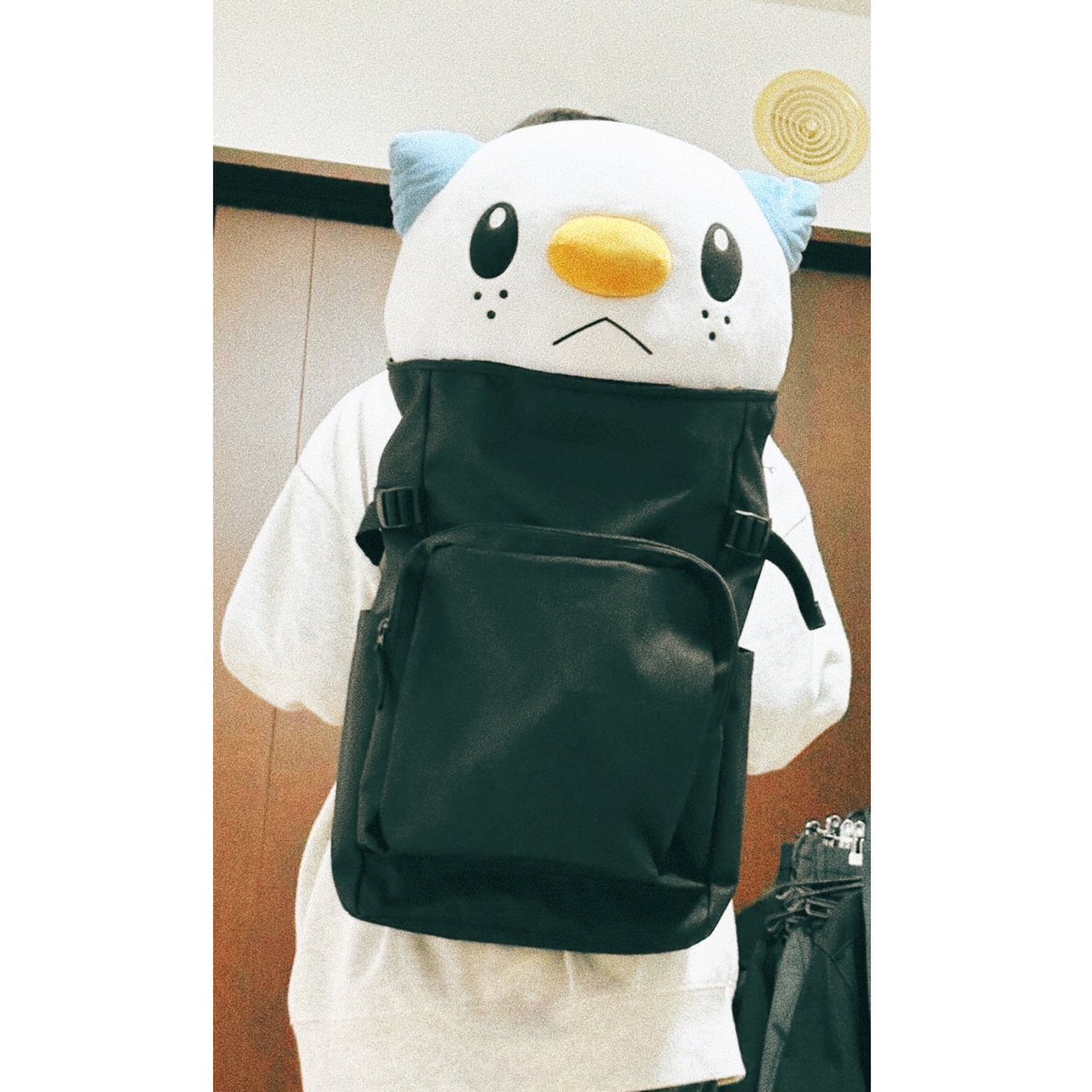 oshawott2286's tweet photo. リュックにぴったり…？
#ぬい撮り #ぬい活 #ポケぬい https://t.co/PwNZmZA6Mv