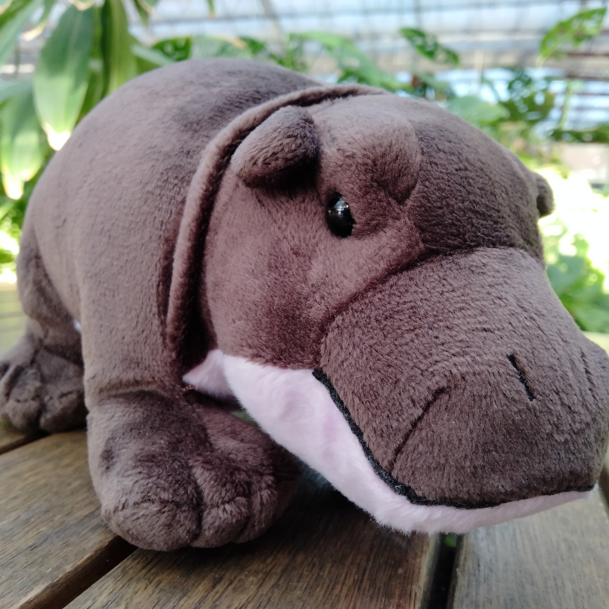 オリジナルグッズ紹介

「コビトカバのオリジナルぬいぐるみ」
まるみのあるフォルムが手になじみ、愛嬌があります。

ベビーが生まれて人気急上昇！
数少ないコビトカバのぬいぐるみです。

kobe-oukoku-raku-uru.com/item-detail/17…