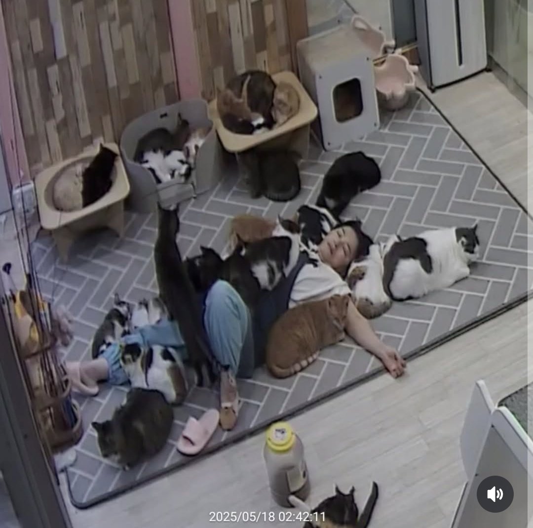 ตามติดชีวิตAnimal tweet media