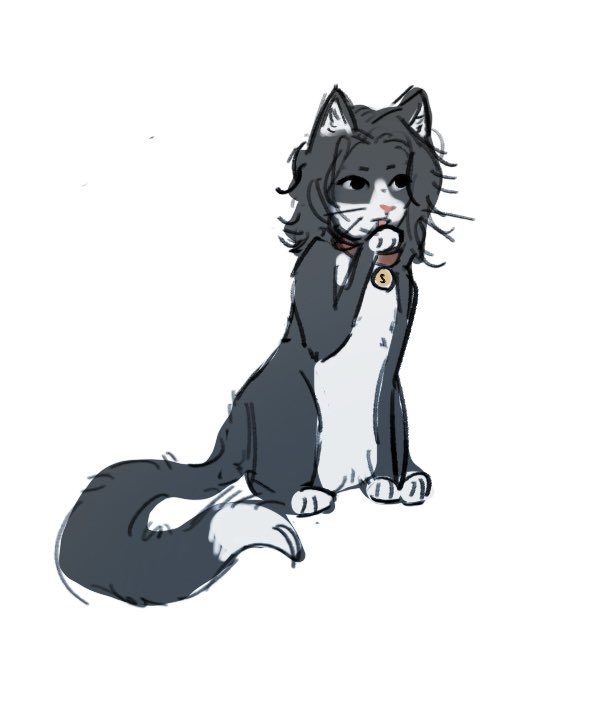 ノイルノイルさま♡ライダーズ 楽天市場】minus - マイナス JAPANISM ONE STAR RIDER`s JACKET