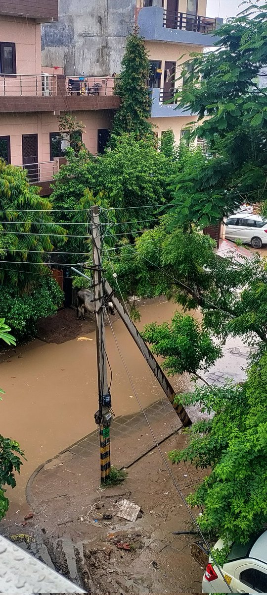 Shilpi879's tweet photo. @wctm_gurgaon @Gurgaon @gurgaon_live @sector53  @rain @gurgaongovt https://t.co/EFXIxAs0eJ