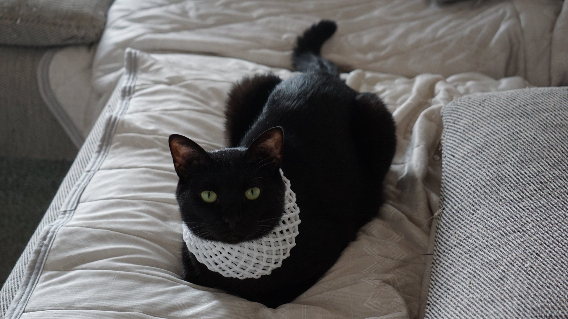 黒猫 大阪府のお客様分 Z400FX レザー黒で純正柄ステッチを入れた変型