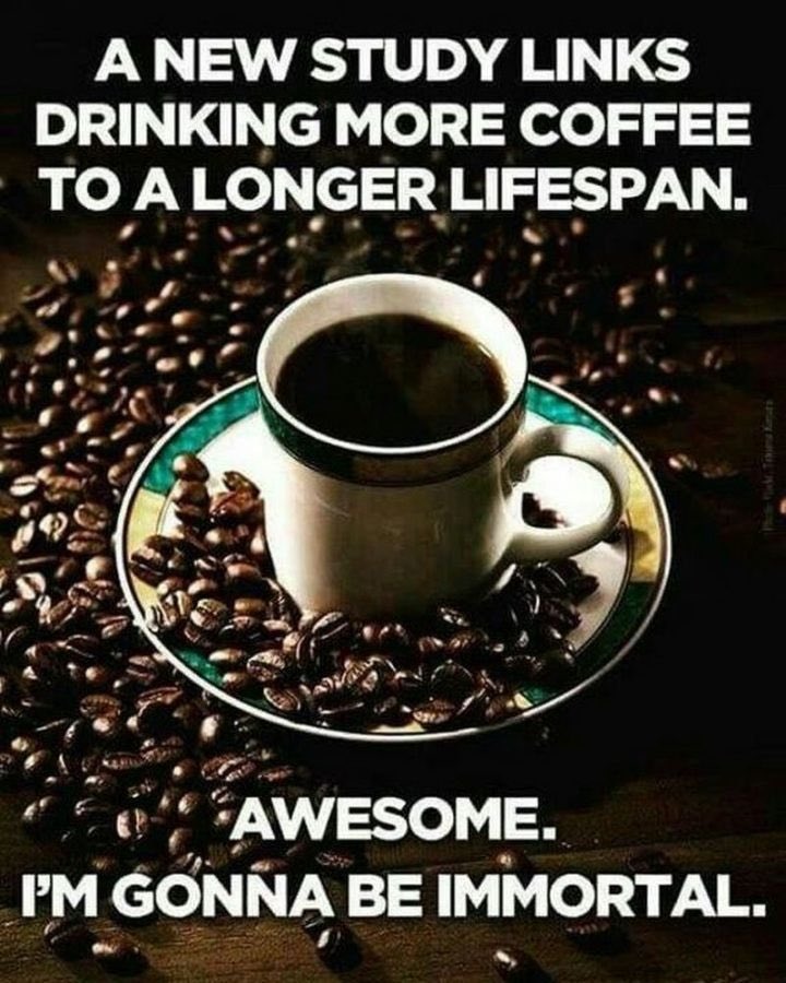 brindleh's tweet photo. Good Morning!! 🇺🇸😊☕️☕️ https://t.co/e47XlfiBzf