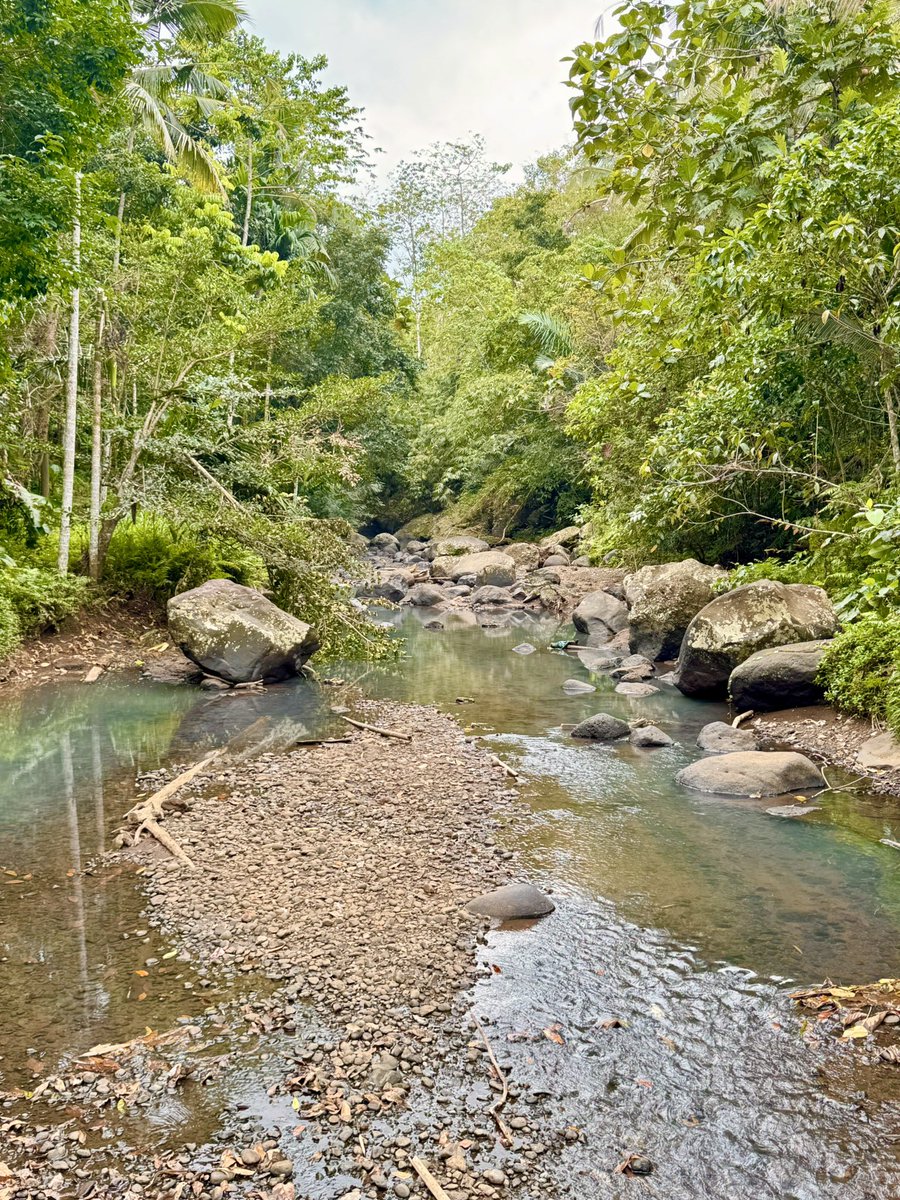 Day 2 - Complete!! 🇮🇩🇮🇩🇮🇩#Indonesia5MarathonsChallenge