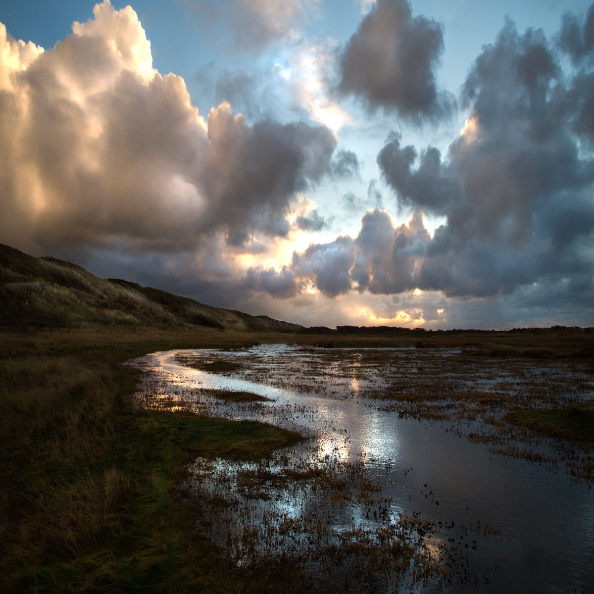 Saskia Boelsums tweet media