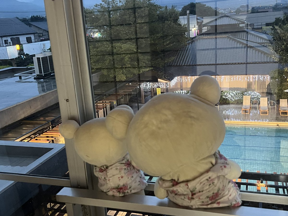 うちの子 tweet media