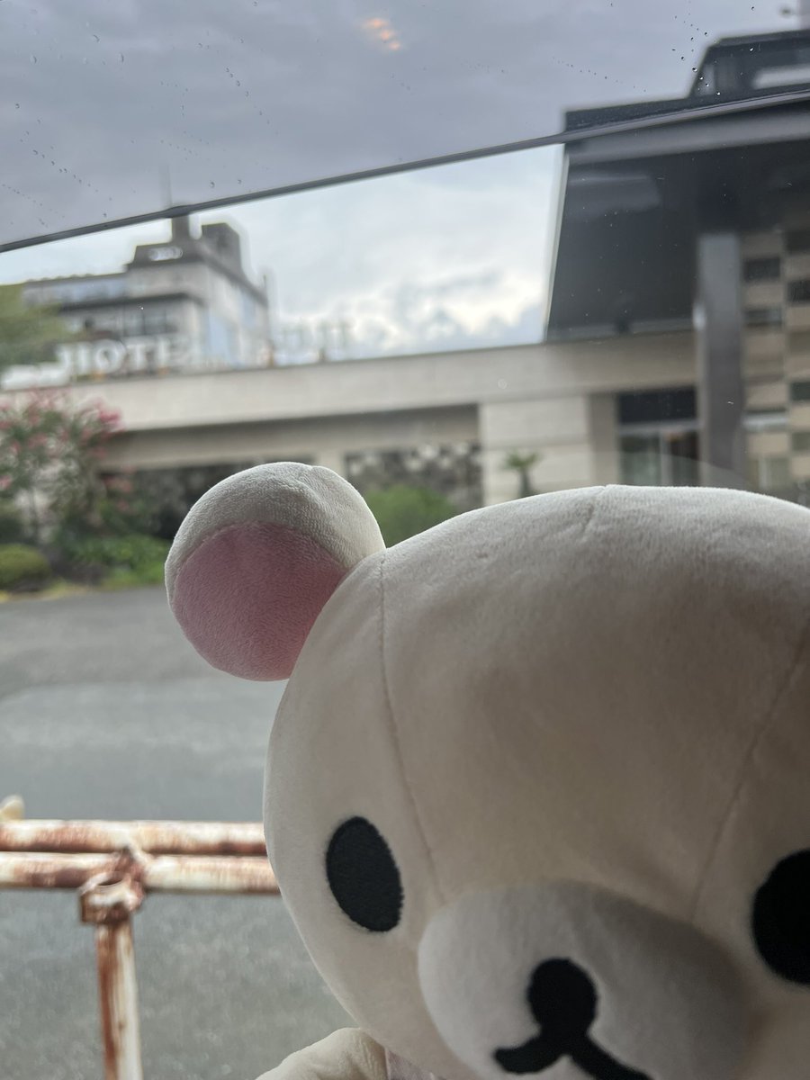 うちの子 tweet media