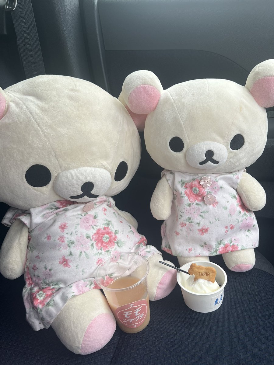 うちの子 tweet media