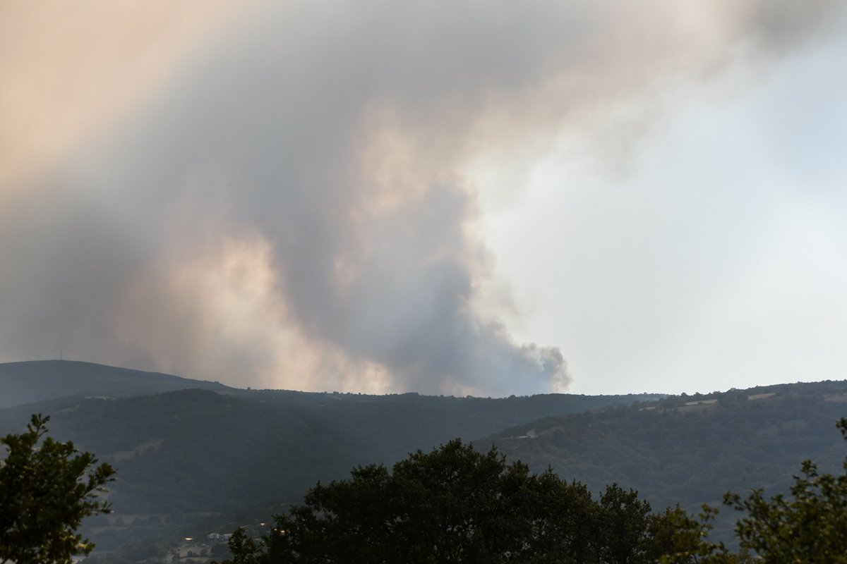 😷 Facilitamos as recomendacións para protexer á poboación fronte ao fume e as cinzas dos incendios forestais

🌫️ A calidade do aire pode consultarse a través de <a href="/MeteoGalicia/">MeteoGalicia</a> ➡️ meteogalicia.gal/web/ica/portada

🔗​ Máis info na web de <a href="/SanidadeXunta/">Consellería de Sanidade</a> 

ℹ️ xunta.gal/notas-de-prens…