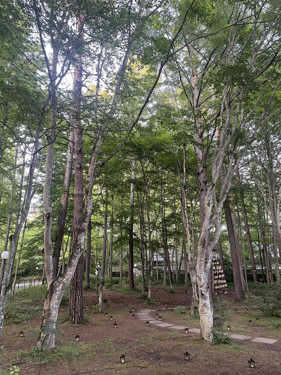 海２日、森２日。音楽の振れ幅もすごいです。
軽く腰いわしました。