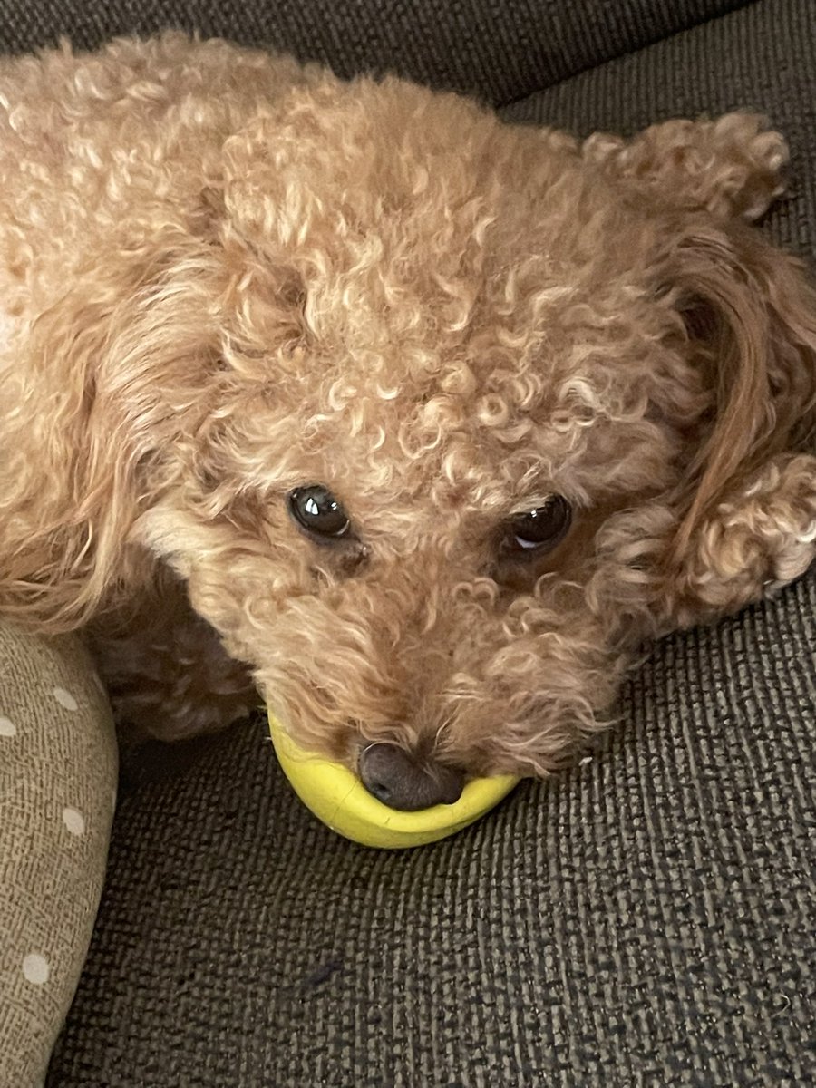 弊社9連休でしたが特に何もせず終わってしまう。