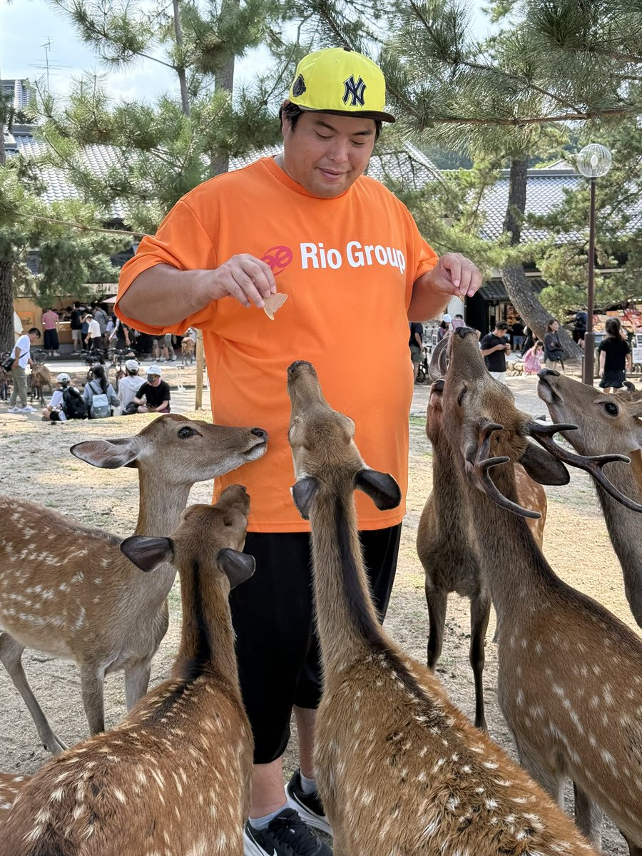 今日もご褒美の鹿煎餅をあげました。
観光客を楽しませてくれてありがとう。