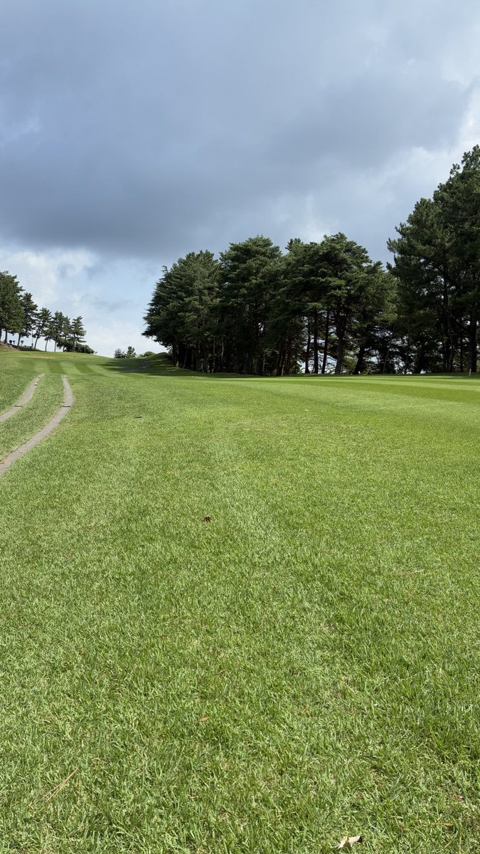 真夏ゴルフ⛳️
スコアは内緒ですが、ゴルフボールは8個くらい無くしたよ💗🤣