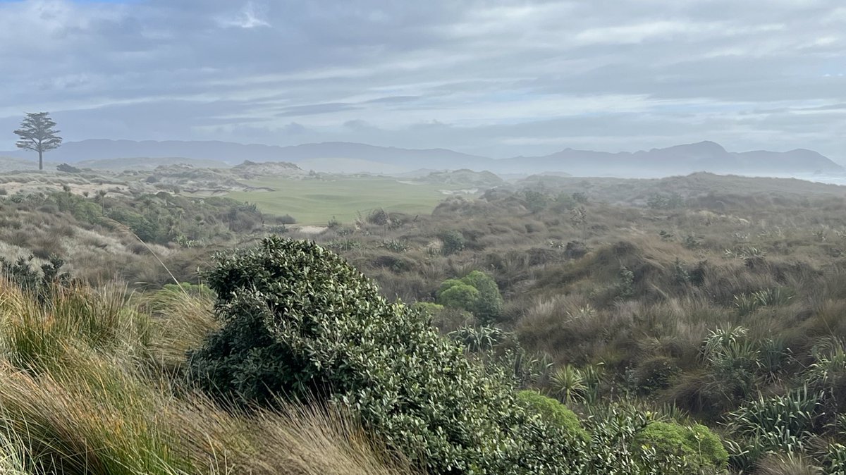 Scott Warren tweet media