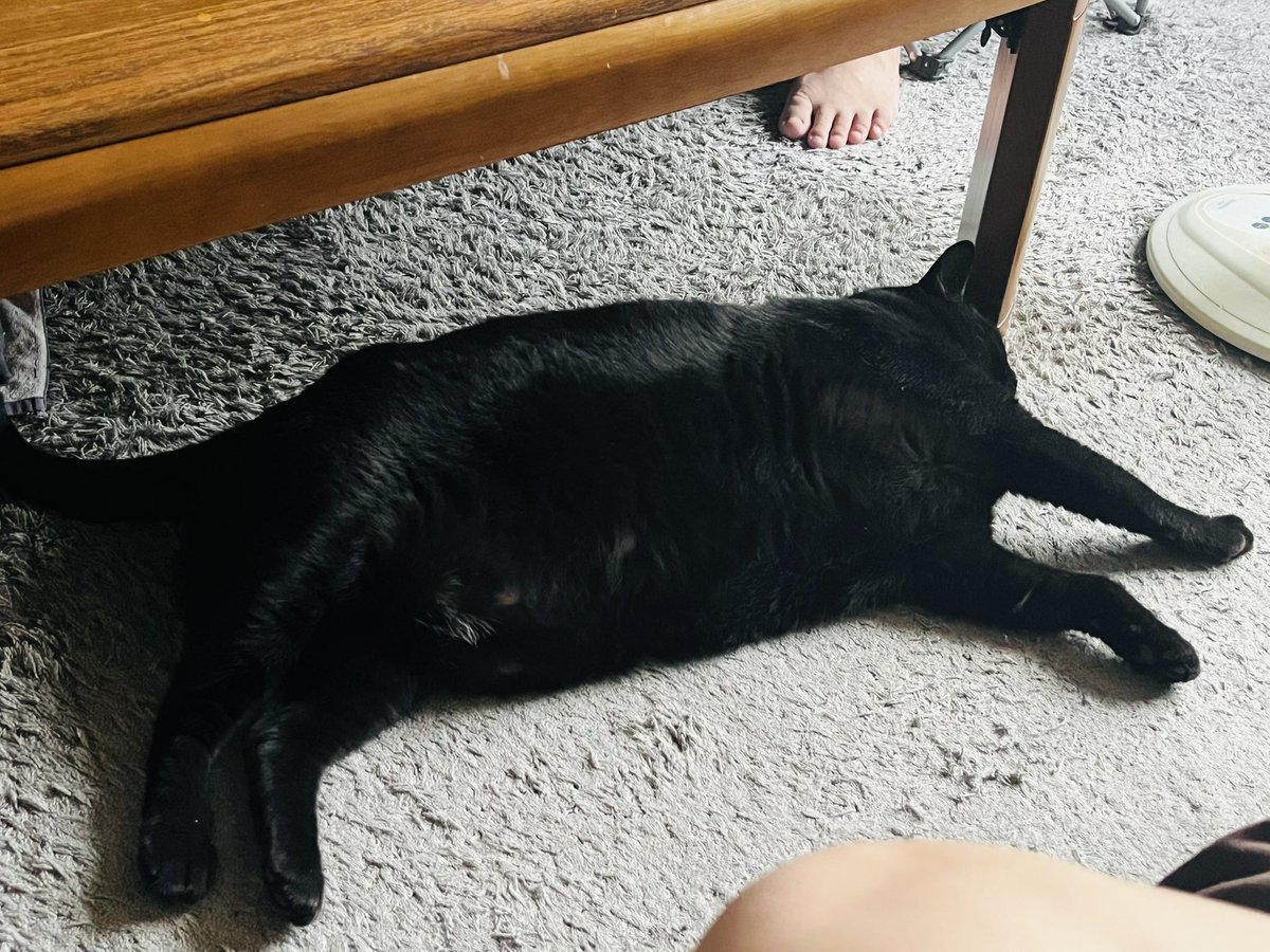 黒猫様♡ありがとうございます♡ 桜🌸SAKU on X: 