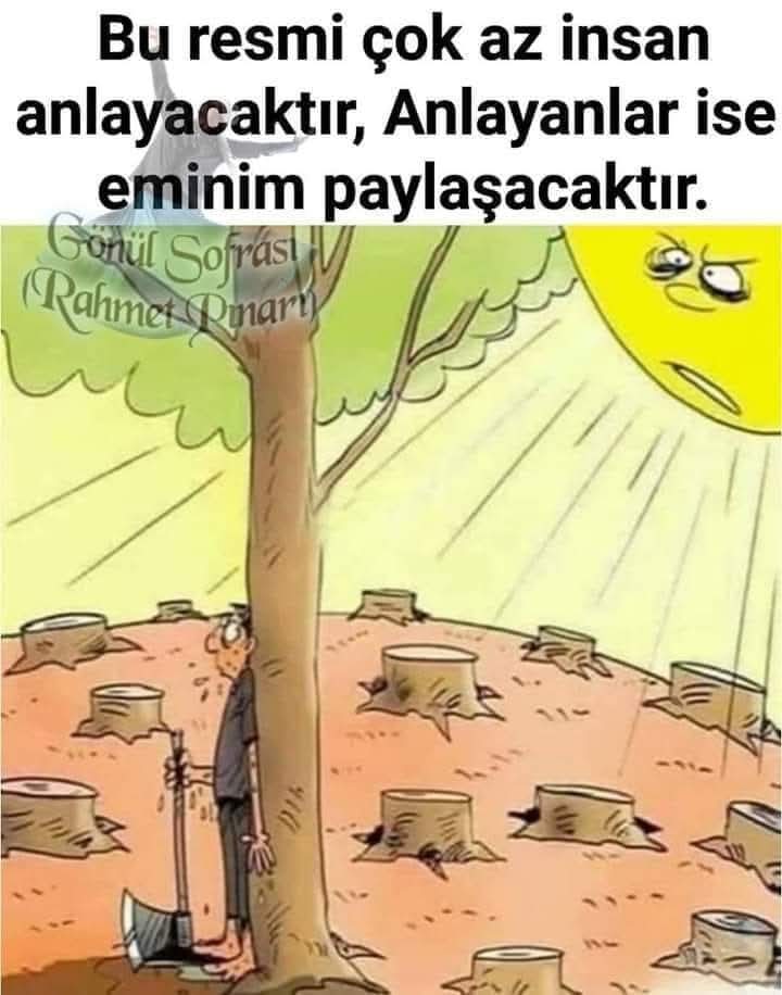Kapitalizm  gölgesini  satamadigi ağacı  keser,,,,