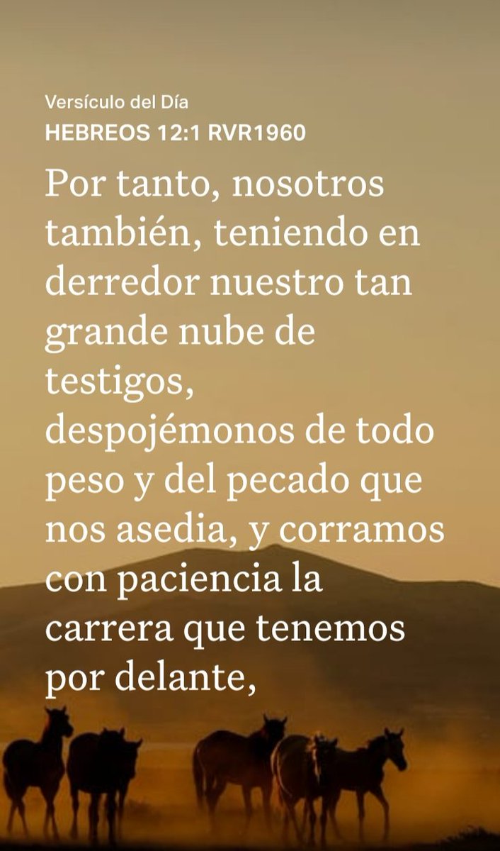 Audiovisión Musical® (@audiovimusical) on Twitter photo 
