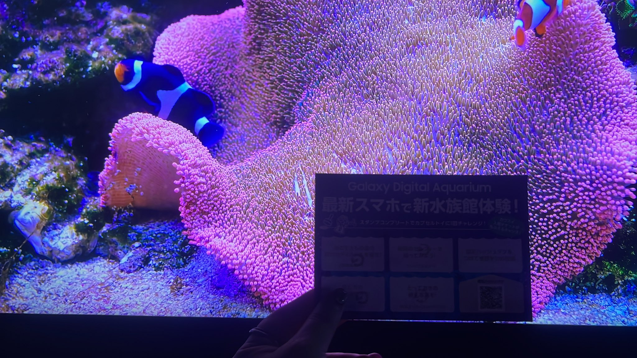 GALAXYです。少ししか使ってません。 YOMEGA GALAXY GLO ヨメガ ギャラクシー グロ 玄人志向