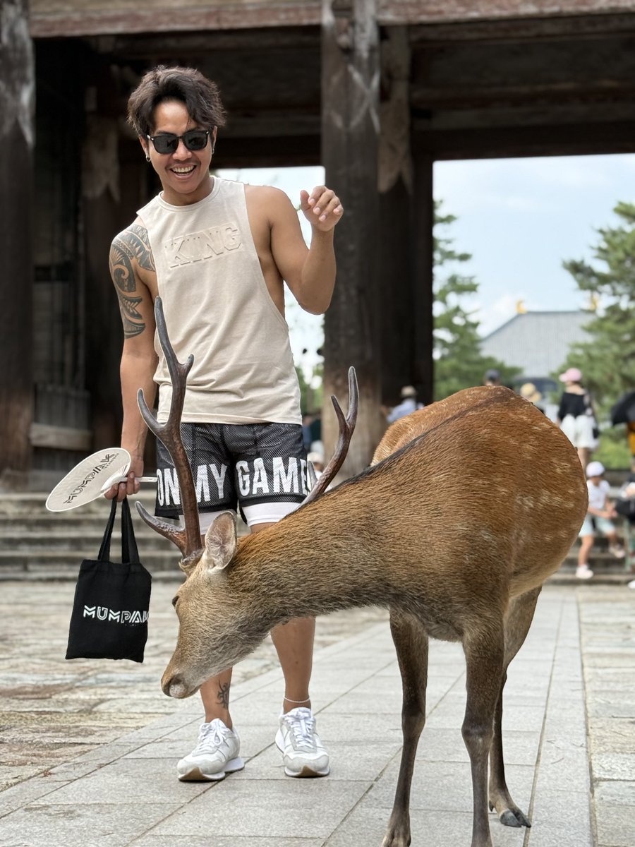 奈良公園
人が多くて鹿も🦌