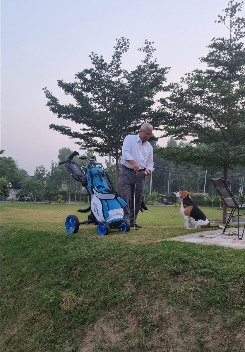 IpsRajinder's tweet photo. Junno the pet wishing good game . https://t.co/jdC8K9cfEr