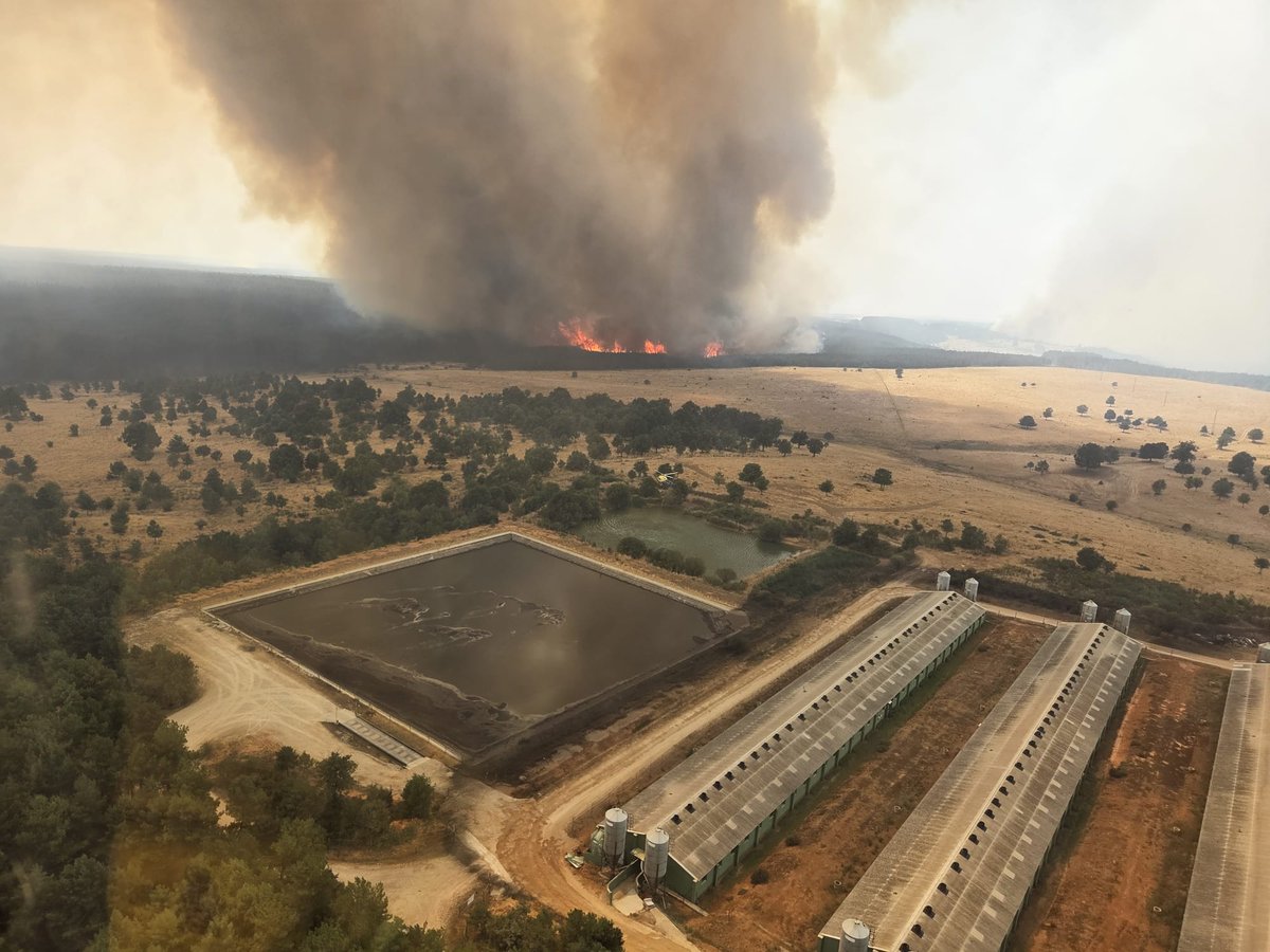 BRIF La Iglesuela tweet media