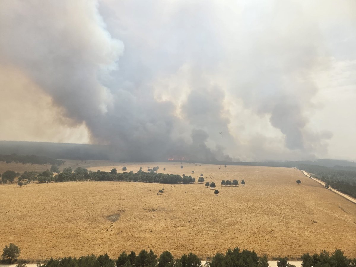 BRIF La Iglesuela tweet media