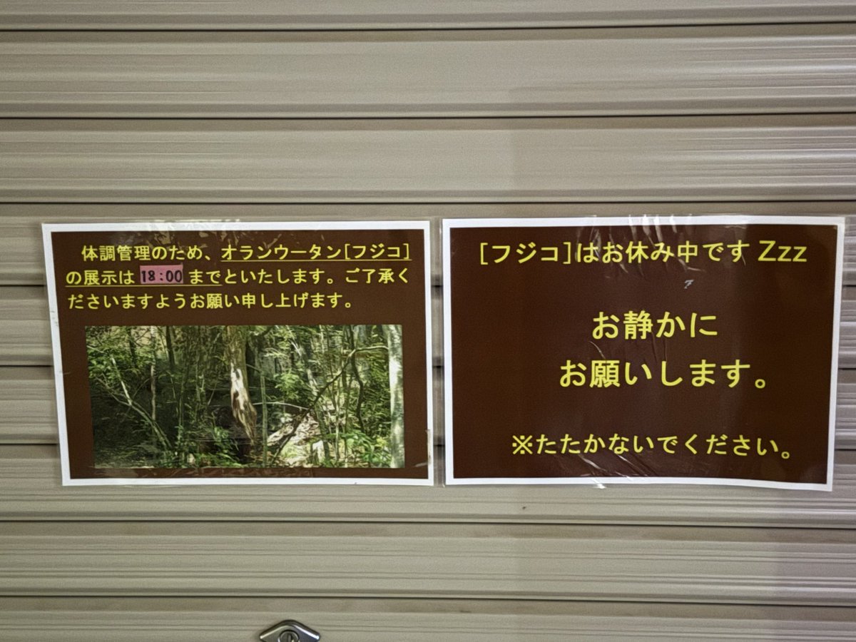 yukirisuko tweet picture