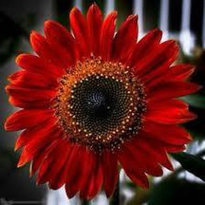 JagPublishingCo's tweet photo. #NewProfilePic https://t.co/zxv4Bn2gz9
