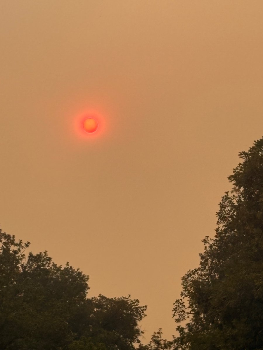 juditmalonso's tweet photo. @meteollac Des de Galicia, preocupats i afectats totalment pels incendis 😢 https://t.co/JNkhsdC8tr