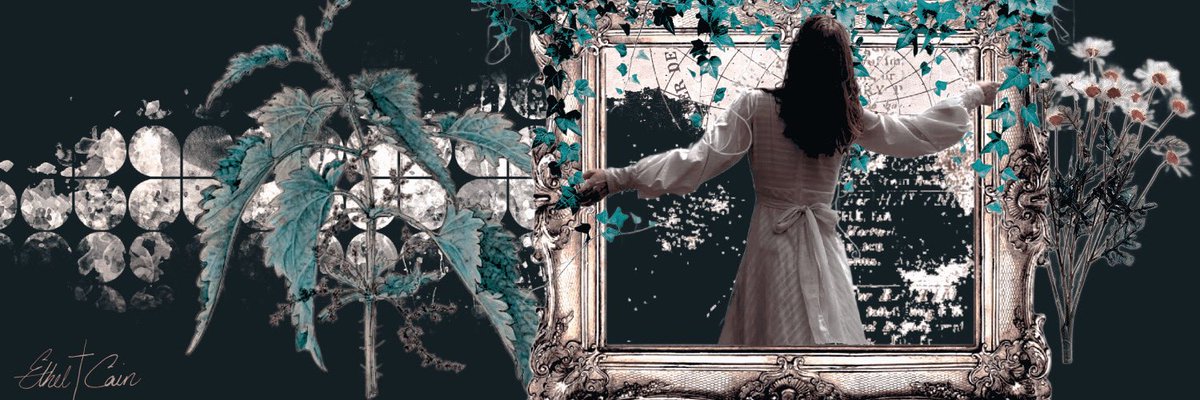 ๐งฌ๐๐๐๐๐๐ ๐๐๐๐๐๐๐งฌ tweet media