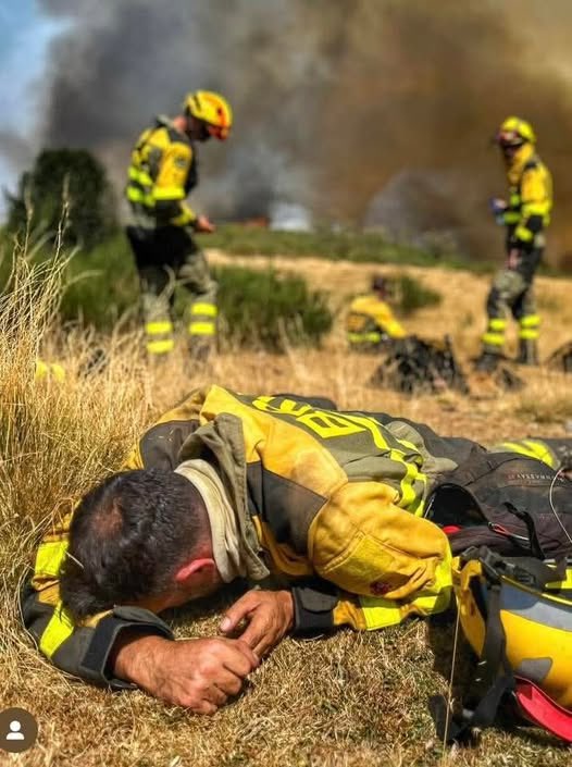 Capitana_espana's tweet photo. Esta imagen es la radiografía de un país secuestrado por sus propios gobernantes. Un bombero, exhausto, tirado en el suelo tras pelear contra el fuego sin medios, sin respaldo, sin más armas que su valor. Y mientras tanto, desde el primero al último: presidente, partidos políticos, senadores, diputados, consejeros, alcaldes… incluso el propio rey, todos callados, todos cómplices, todos en sus sillones cobrando de nuestros impuestos.

¿Para qué pagamos entonces? Para mantener a esta casta de privilegiados que despilfarran millones en comprar voluntades, en subvencionar vagos, en sostener chiringuitos ideológicos, en mandar dinero a medio mundo mientras aquí los que nos protegen caen rendidos en la tierra seca, jugándose la vida por nosotros sin tener ni agua suficiente.

No es un fallo, no es casualidad: es un insulto. Es la prueba de que este país está gobernado por parásitos que solo se acuerdan de nosotros para saquearnos. Y lo peor es que seguimos aguantando, mirando estas imágenes como si fueran normales.

¿Hasta cuándo? ¿Hasta cuándo vamos a soportar esta burla? ¿Hasta cuándo vamos a dejar que nos roben, que nos humillen, que nos conviertan en un pueblo dócil mientras los héroes reales mueren en el anonimato?

Nos están tomando el pelo todos, desde el primero al rey. Y ya va siendo hora de que arda la indignación en la calle, con la misma fuerza con la que arden nuestros montes.