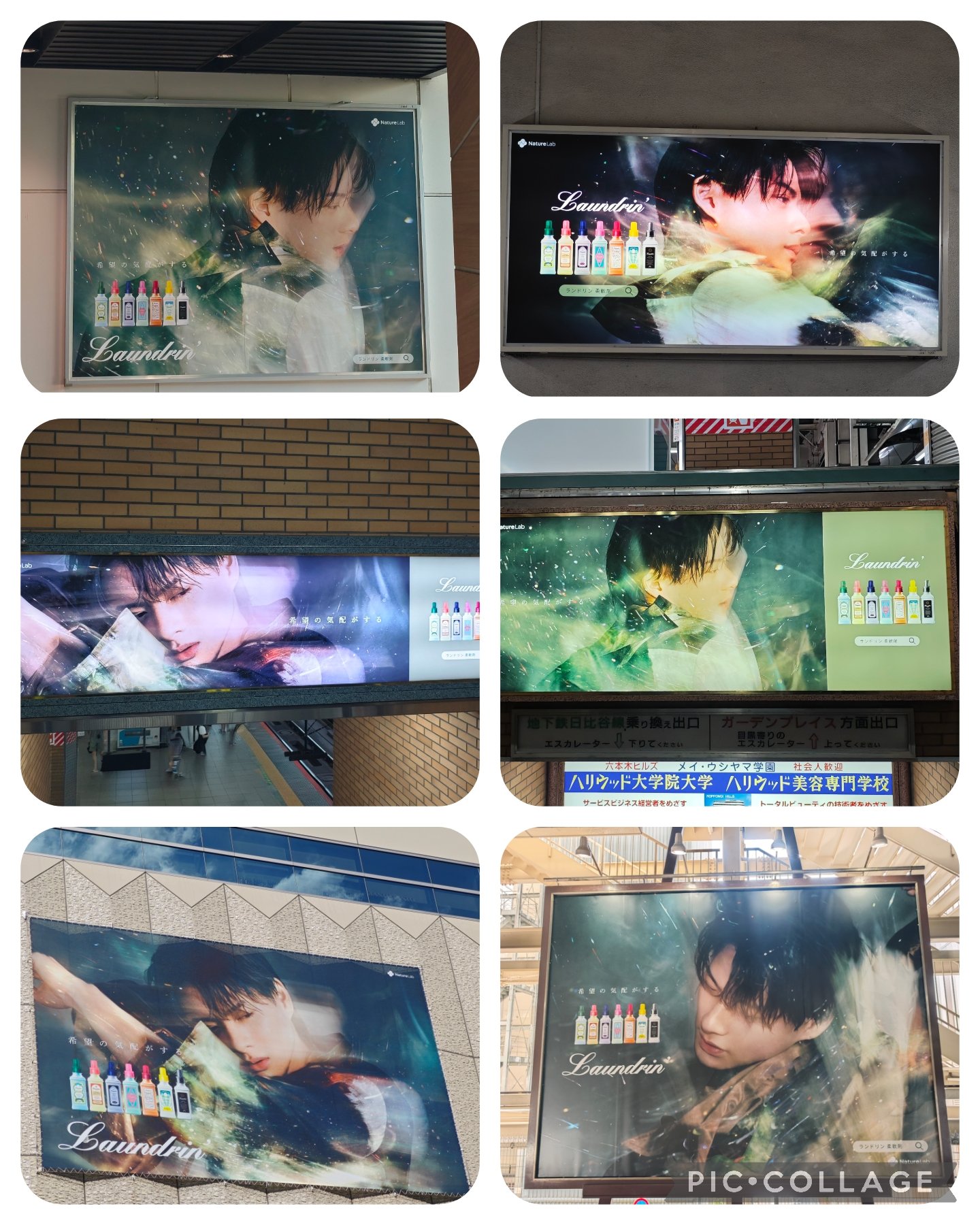ピパ on X: 