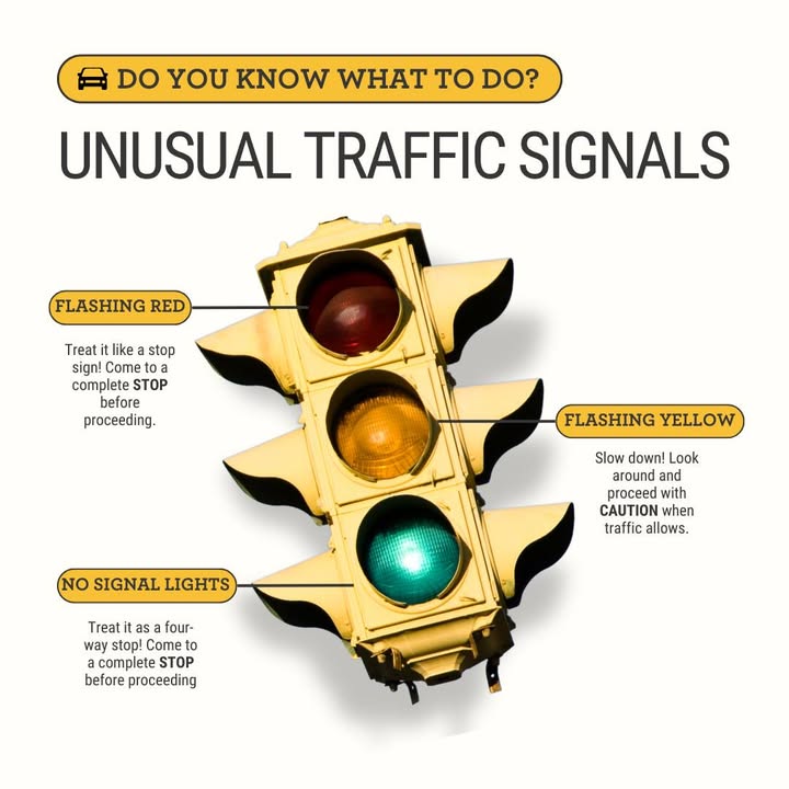 DriveSafeAL tweet picture