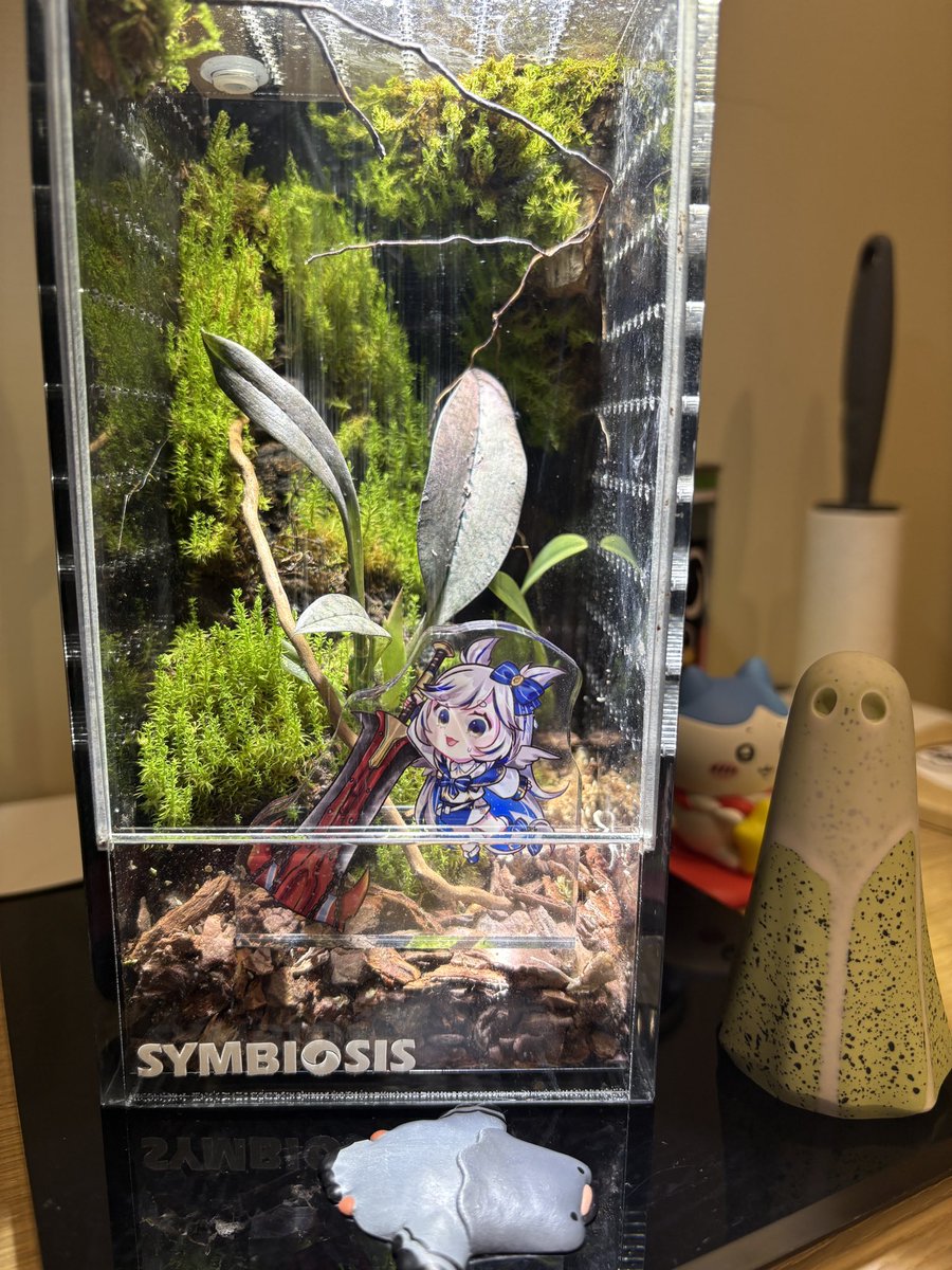 今天幫Miki買了一個新家