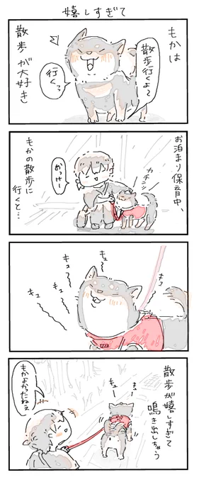 #4コマ漫画 #柴犬
嬉しすぎて 