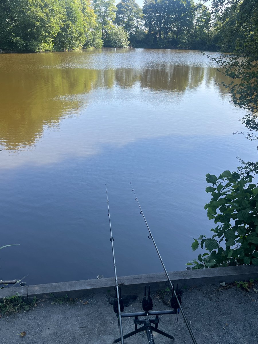 Cuffie18's tweet photo. Found a quite spot 🤞 https://t.co/WbEG64i0fG