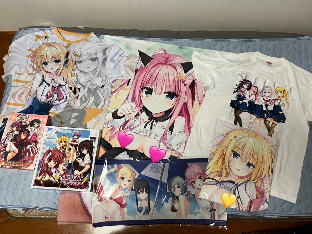 本日の戦利品 ・夜刀くくる B1タペストリー ・蓼科イヴ 抱き枕