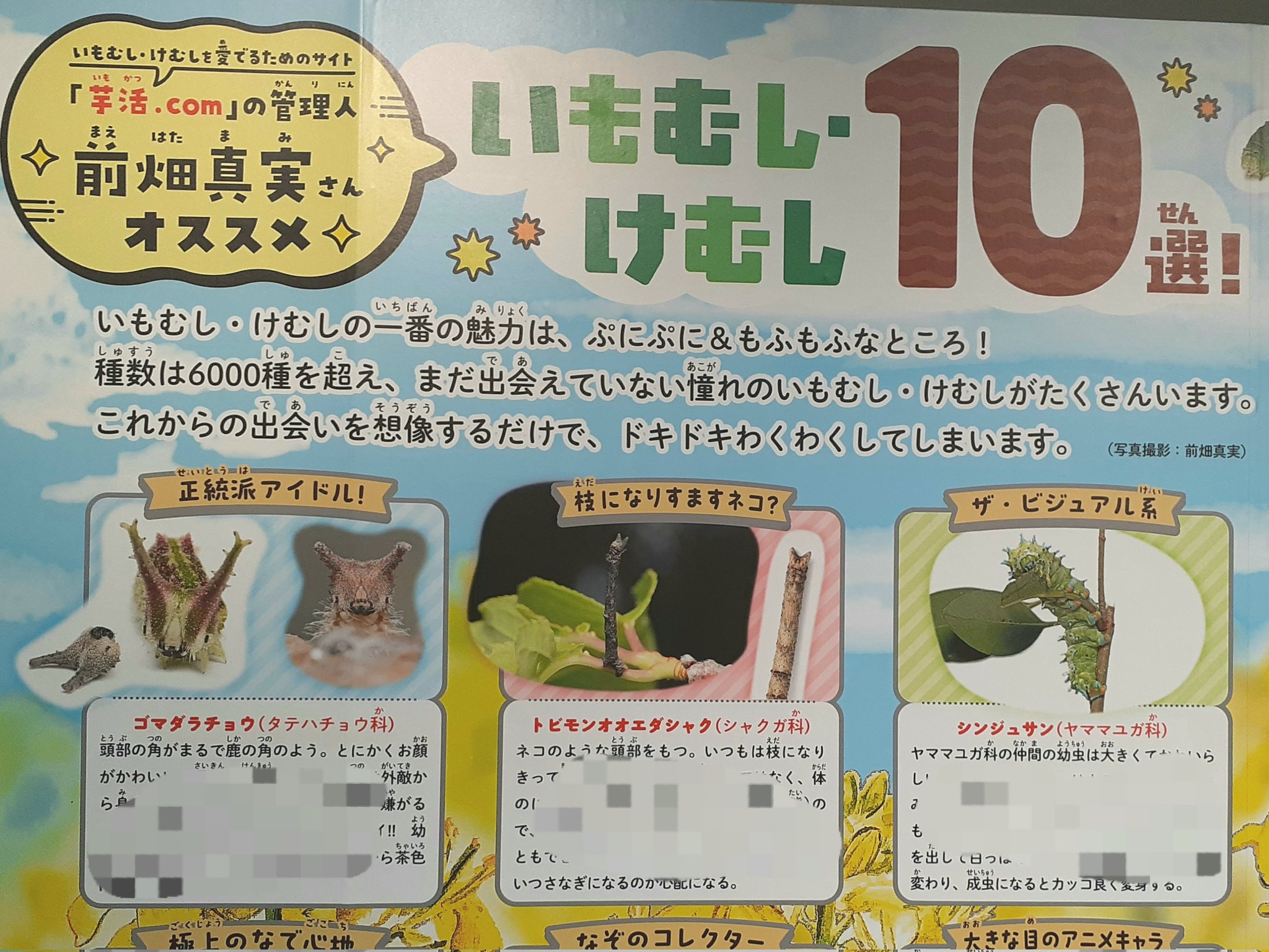 いも出品 楽天市場】【20%OFF 楽天スーパーSALE限定】送料無料 [萬來